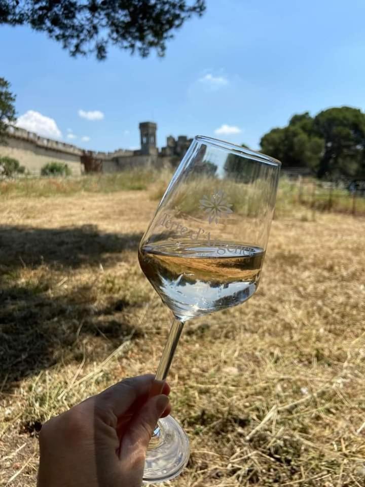 Location Gite En Provence بوكير المظهر الخارجي الصورة