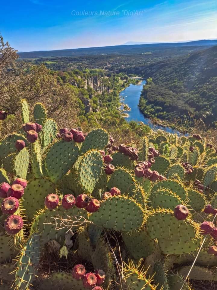 Location Gite En Provence بوكير المظهر الخارجي الصورة